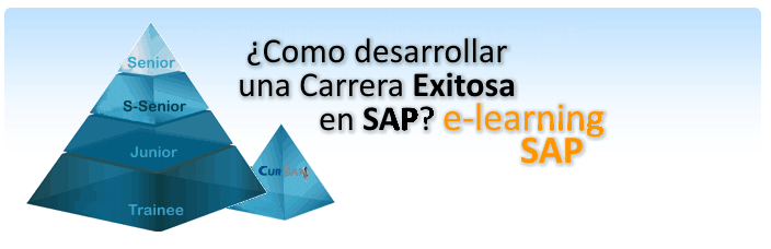 SAP Profesionals - Todos los cursos