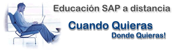 SAP Profesionals
